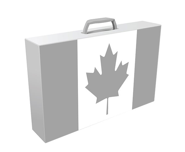 Introducción a “Impuestos corporativos sobre la renta en Canadá para el 2020 y el 2021”